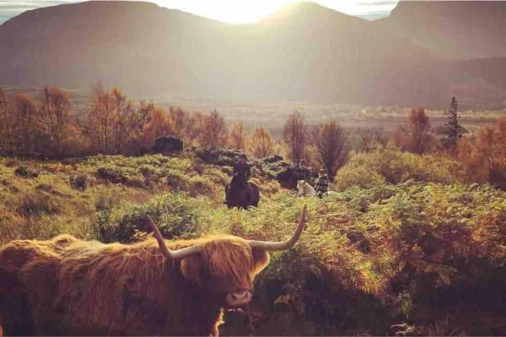 Wild Nurture Eco Luxury Offgrid Log Cabin Fort William Eksteriør billede