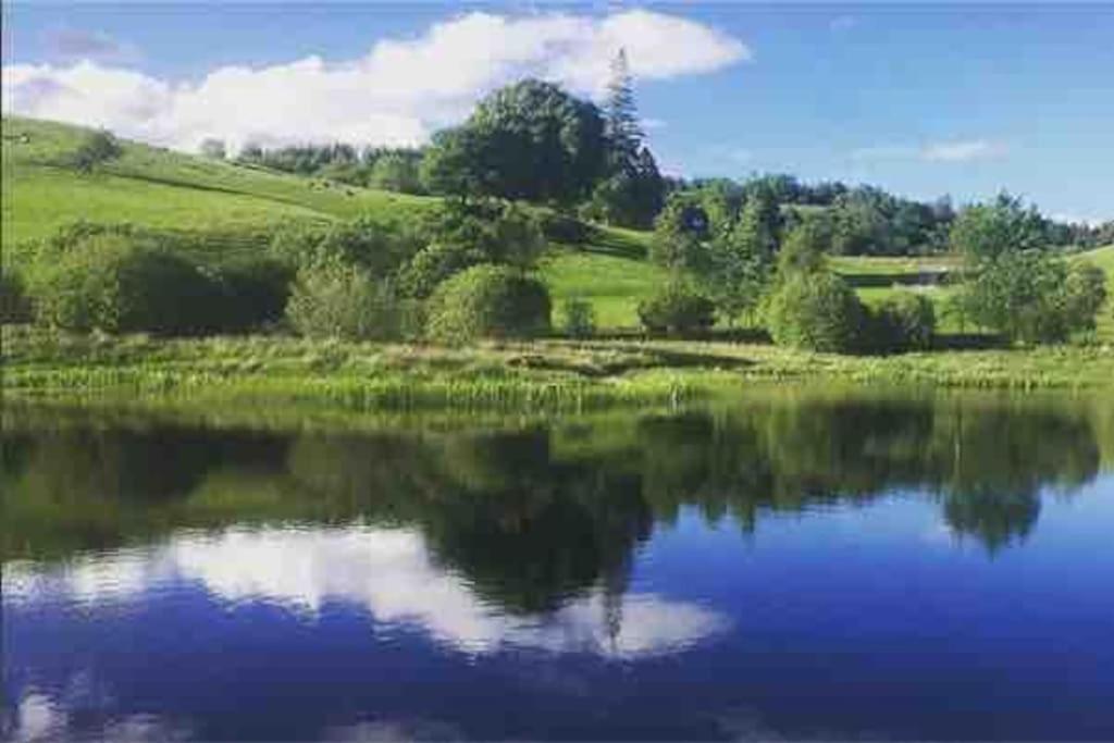 Wild Nurture Eco Luxury Offgrid Log Cabin Fort William Eksteriør billede