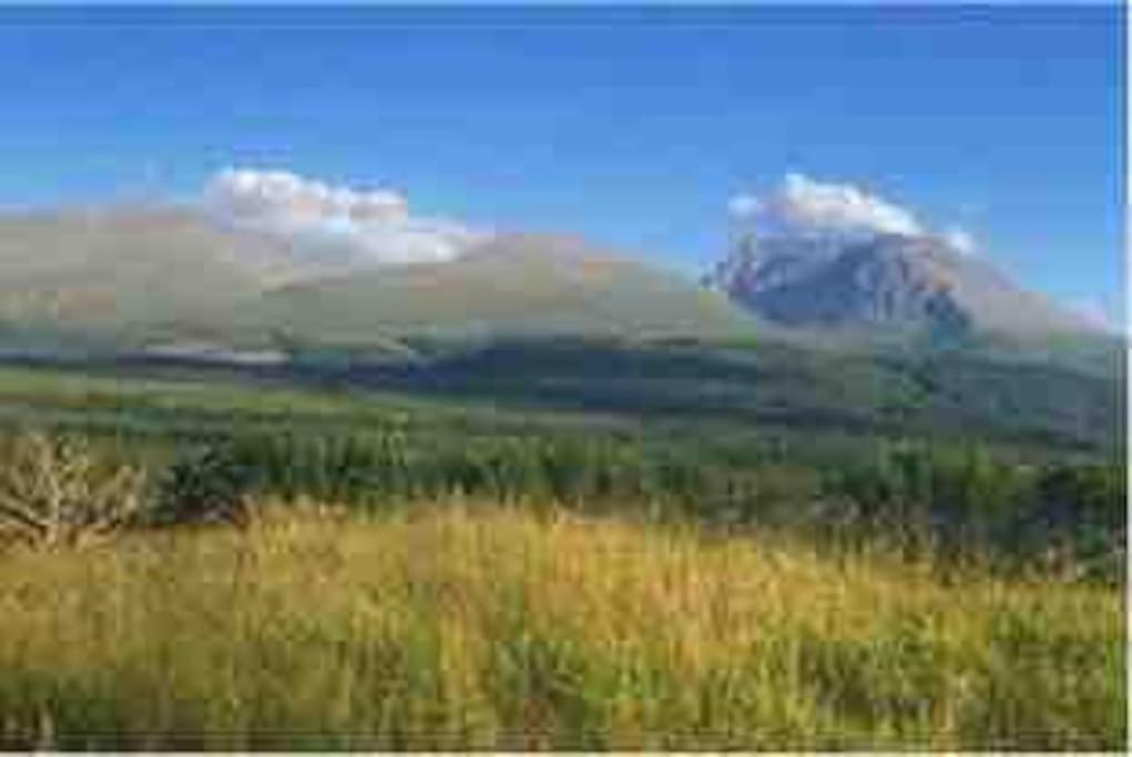 Wild Nurture Eco Luxury Offgrid Log Cabin Fort William Eksteriør billede