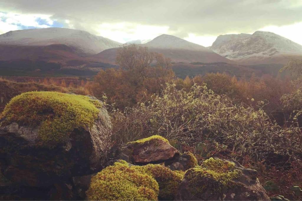 Wild Nurture Eco Luxury Offgrid Log Cabin Fort William Eksteriør billede