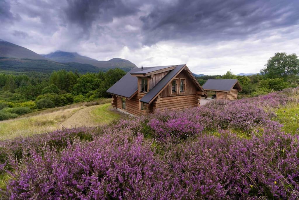 Wild Nurture Eco Luxury Offgrid Log Cabin Fort William Eksteriør billede