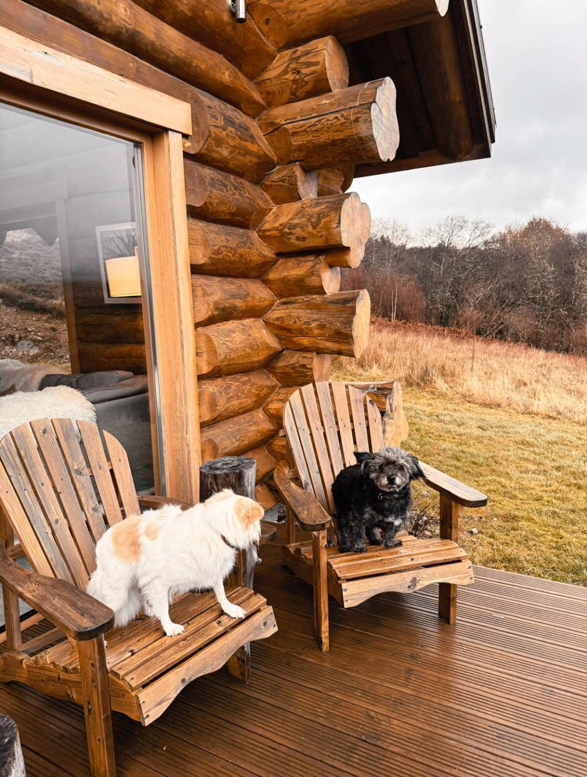 Wild Nurture Eco Luxury Offgrid Log Cabin Fort William Eksteriør billede